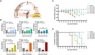 Identification of novel biomarkers for anti-Toxoplasma gondii IgM detection and the potential application in rapid diagnostic fluorescent tests